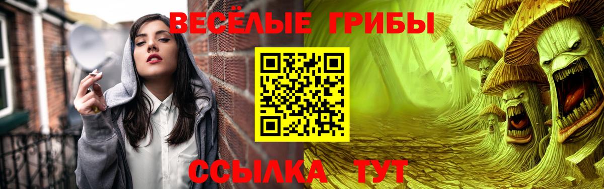 Нижний Тагил  Галлюциногенные грибы MAGIC MUSHROOMS  наркота  Вход с VPN  Галлюциногенные грибы MAGIC MUSHROOMS 
